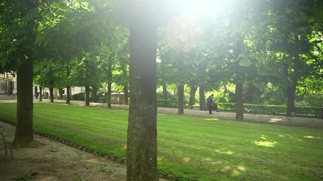 Paris, a walk in Luxembourg Park 