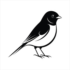 Junco Bird silhouette vector art Design.