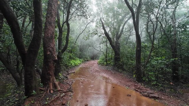 Idyllic hiking route in Matheran hill station, showcasing the beauty of the surrounding nature