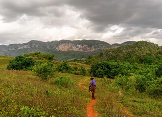 Obraz premium person riding a horse in the mountains and valley of viñales cuba countryside 