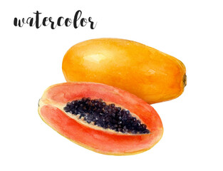 Watercolor Illustration of Ripe Papaya Fruit, great for botanical, culinary, and tropical art