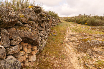 Schöne Heidelandschaft auf dem Pilgerweg Via de la Plata, Camino Sanabrés in Galicien bei A Gudiña kurz nach dem Pass von A Canda.