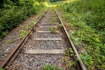 Fototapeta premium railway tracks close up in the green