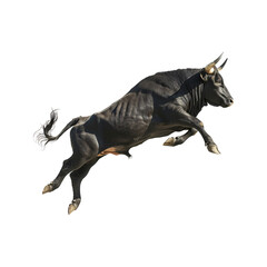 Obraz premium Powerful raging bull charging running isolated on white transparent background