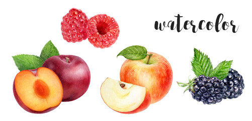 Watercolor Fruits - Apples, Plums, Raspberries, Blackberries - Fresh and Vibrant Illustration