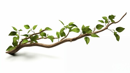 Obraz premium realistic twisted jungle branch with plant growing isolated on a white background