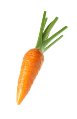 One fresh ripe carrot isolated on white