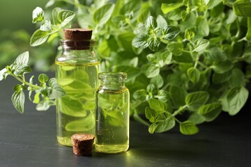 Essential oil in bottles and oregano twigs on dark textured table, closeup