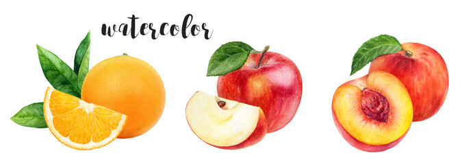 Watercolor illustration of fresh fruits apples, peach, and oranges isolated on white