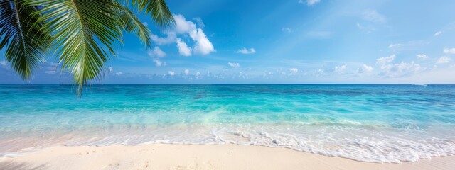 Fototapeta premium A beach scene with a palm tree in the foreground and a blue sky dotted with clouds in the background