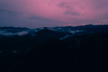 Mountains with pine forest in the fog at sunset. Foggy landscape with fir forest.