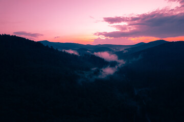 Mountains with pine forest in the fog at sunset. Foggy landscape with fir forest.