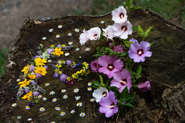 floral composition of wildflowers using sycamore bark and sea shells. naturalistic style.