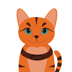 Ginger cat with blue eyes on white background flat vector