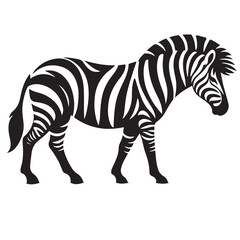  zebra Silhouette vector white back ground