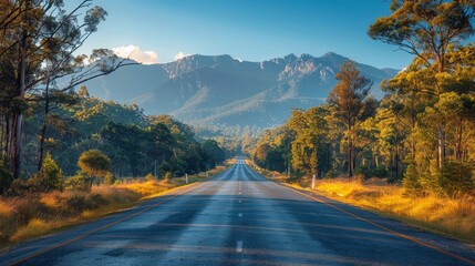 Empty country road leading through a forest landscape towards mountains at sunset