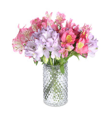 Beautiful alstroemeria flowers in vase isolated on white