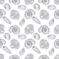 Hand drawn black coal pencil seashells seamless pattern isolated on white background. Marine illustration can be used for textile, fabric, scrapbook and other printed products.