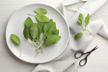 Fresh sage leaves, scissors and napkin on light wooden table, flat lay