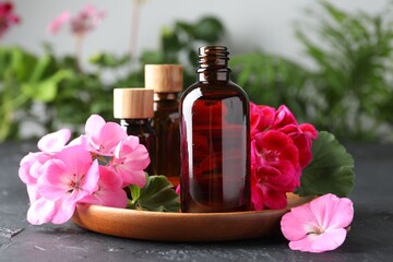Bottles of geranium essential oil and beautiful flowers on black table, closeup