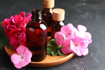 Bottles of geranium essential oil and beautiful flowers on black table, closeup