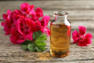 Bottle of geranium essential oil and beautiful flowers on wooden table, closeup