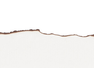 burnt paper edge texture torn burned burn