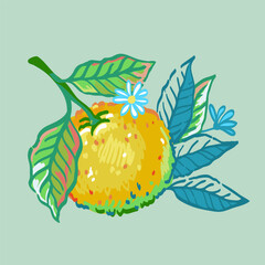 Vector hand drawn illustration of branches orange tree with fruit and leaves. Illustrations of bright ripe citrus fruit and flowers