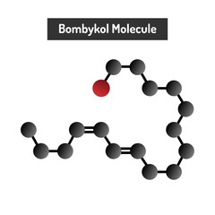 Bombykol Molecule - Insect Pheromone and Its Role in Moth Communication