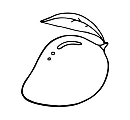 Mango fruit, black and white icon, logo, hand-drawn, isolated image on a white background
