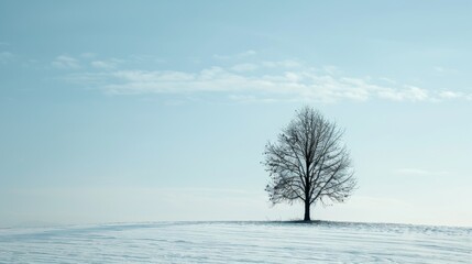 A single, bare tree stands tall against a pristine white snowscape, symbolizing resilience, hope, peace, solitude, and the beauty of winter.