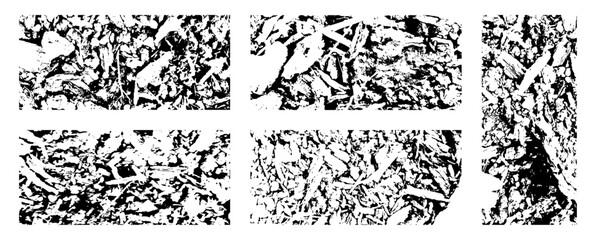 Set of Abstract Black Dry Wood Textures Collection - Grunge Stain Illustration