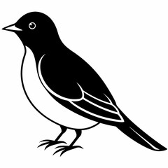 Bird silhouette vector illustration