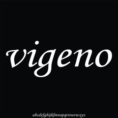 serif modern alphabet font vector