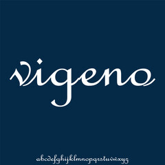 serif modern alphabet font vector