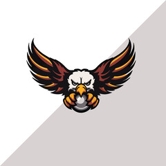 Fototapeta premium Eagle Color logo with white background