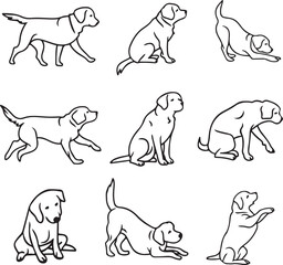 Labrador Line Art Vector Set