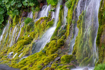 A wall of waterfalls on a green moss-covered slope of a volcano, Iturup Island