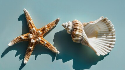 Starfish and seashell against blue backdrop