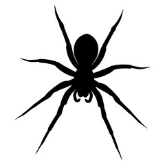 Spider.Silhouette of black spider.Vector spider icon.Large scary spider.