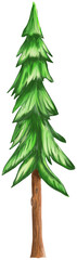 Hand drawn watercolor pine tree, Forest fir tree hand painted illustration