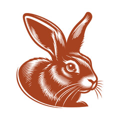 Rabbit vector