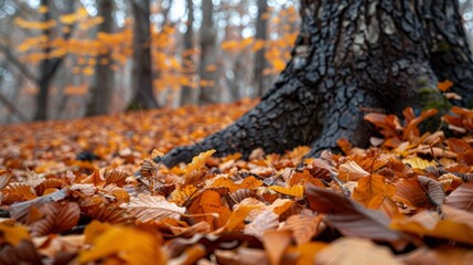 Obraz premium Vibrant fall leaves covering tree limbs in a woodland area