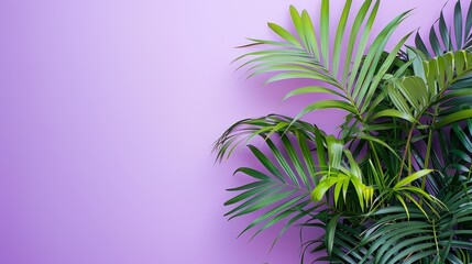 Close up of a lush green palm tree against a soft purple background
