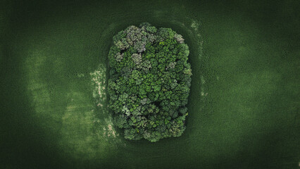 "Green Island" in Silesia