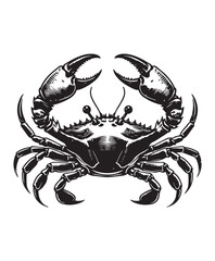 crab vector art,graphics crabs icons set,vintage illustration crab clipart,vector crabs flat style artwork design