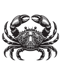 crab vector art,graphics crabs icons set,vintage illustration crab clipart,vector crabs flat style artwork design