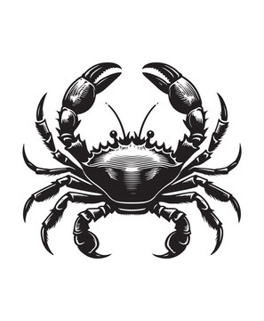 crab vector art,graphics crabs icons set,vintage illustration crab clipart,vector crabs flat style artwork design