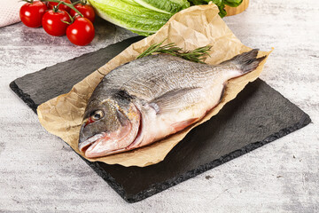 Raw dorada fish served rosemary