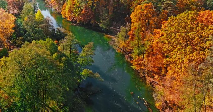 River Brda and autumn forest at sunrise, Poland.